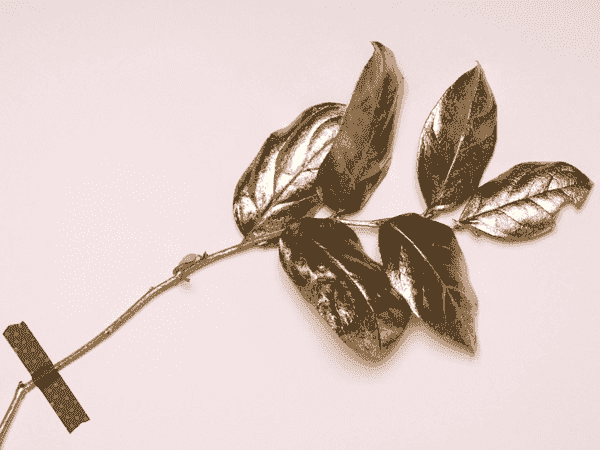 重构产业链条的网站攻击源码